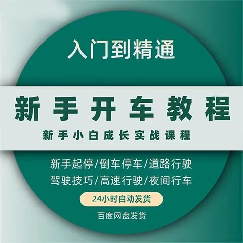 轻松学车考驾照视频教程汽车驾驶模拟科目一二三场地道路无杆技巧（自动发货）
