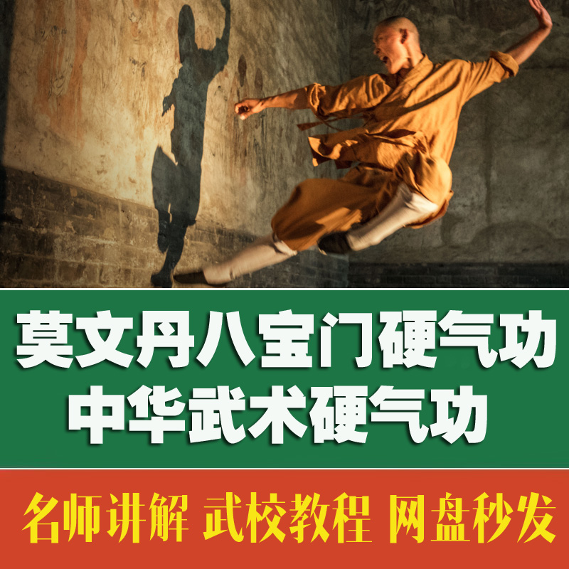莫文丹八宝门硬气功 内部资料 培训教程（自动发货）